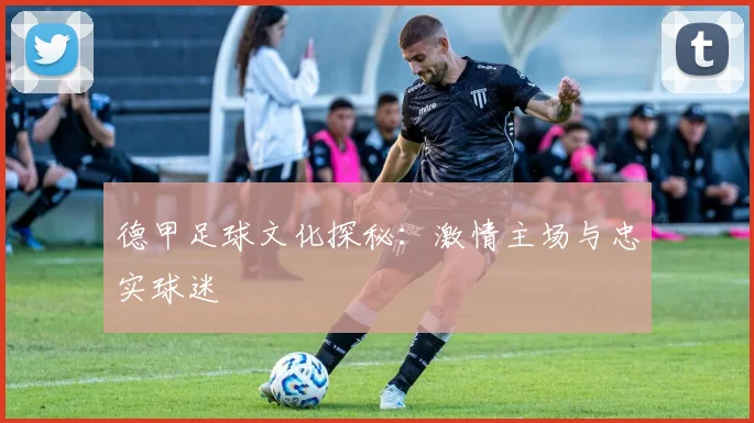 德甲足球文化探秘：激情主场与忠实球迷