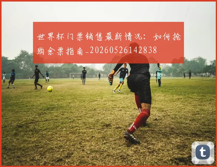 世界杯门票销售最新情况：如何抢购余票指南_20260526142838