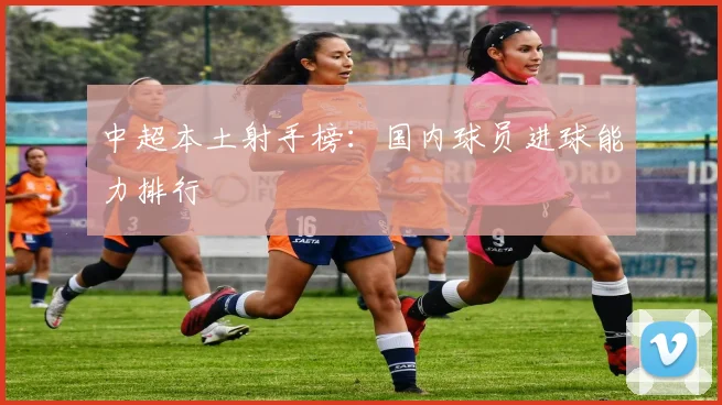 中超本土射手榜：国内球员进球能力排行