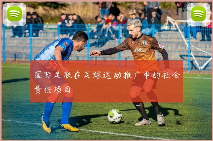 国际足联在足球运动推广中的社会责任项目